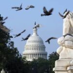 Los legisladores se encuentran fuera de Washington como parte de las vacaciones estivales