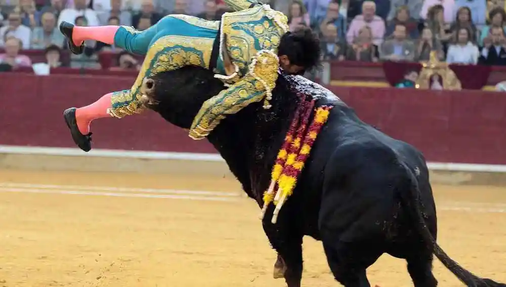 Cayetano Rivera sufre una cogida en Salamanca