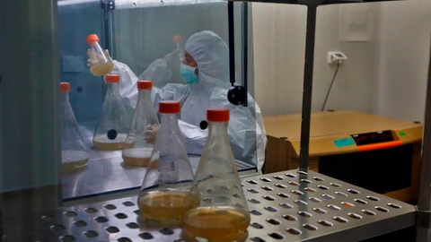 - Una investigadora trabaja en el desarrollo de vacunas covid
