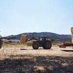 La localidad abulense de Sotalbo almacena paja para el ganado tras el incendio