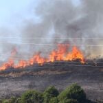 Incendio en la localidad de Trabadelo ( León)
