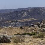 Consecuencias del incendio iniciado en Navalacruz a su paso por Riofrío (Ávila)