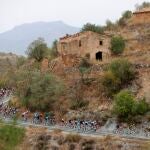 El pelotón durante la novena etapa de la Vuelta Ciclista a España, entre Puerto Lumbreras y el Alto de Velefique, de 188 kilómetros. EFE/ Manuel Bruque