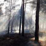 Incendio en Cueva de Agreda (Soria)