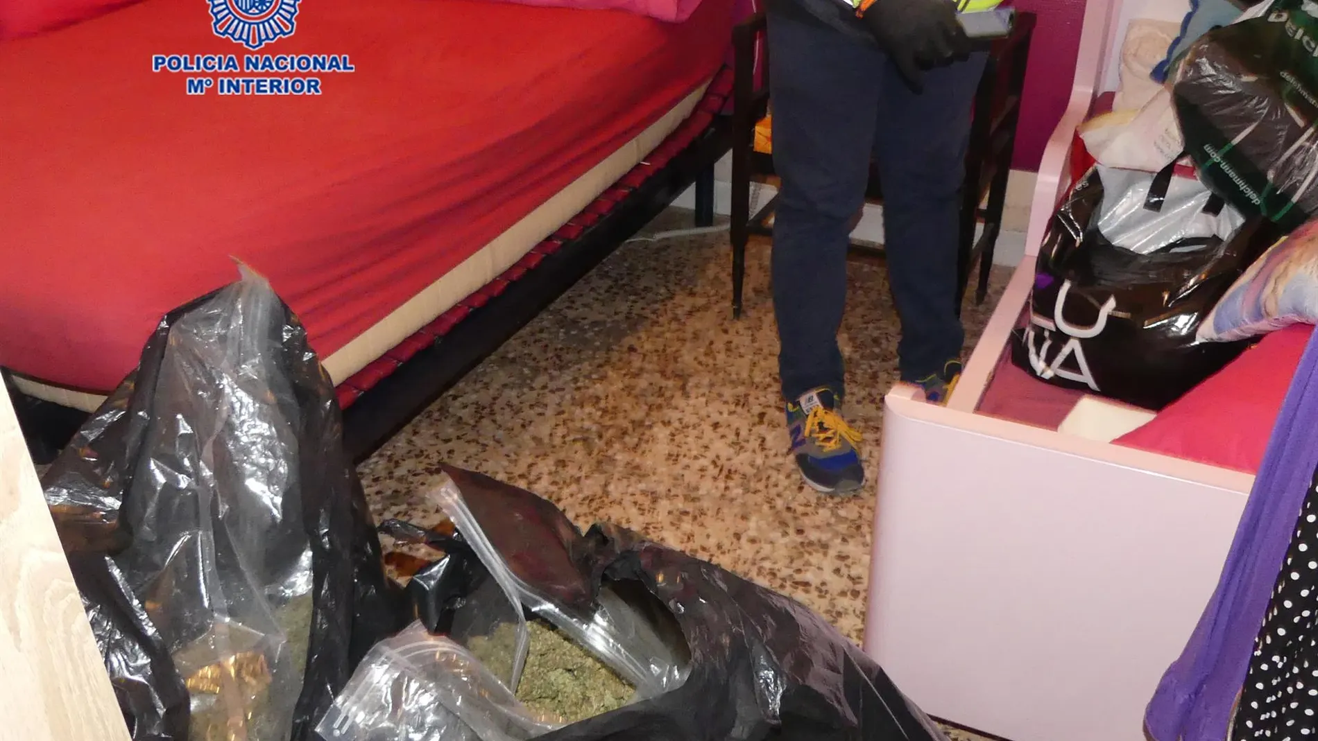 La Policía registró la vivienda del detenido tras la persecución policial e intervino más bolsas con cogollos de marihuana