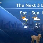 Un perro se cuela en directo en la emisión del tiempo en una TV de Canadá