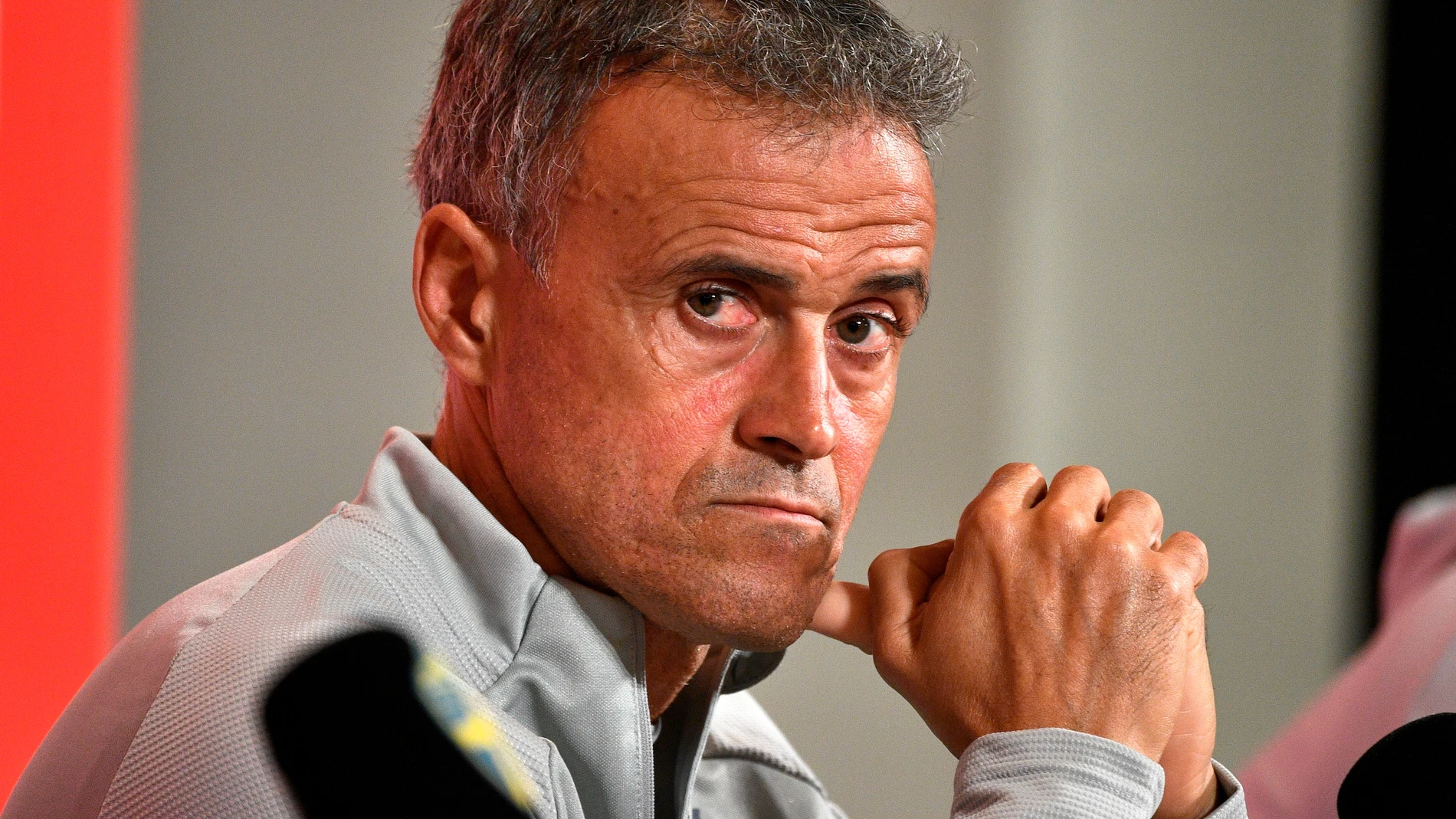 Luis Enrique, seleccionador español.