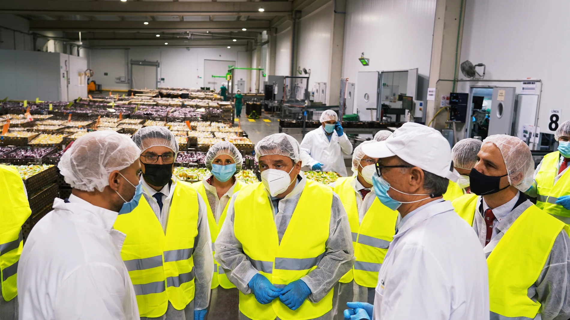 El ministro de Agricultura, Pesca y Alimentación, Luis Planas, visita las instalaciones de Huercasa en la localidad vallisoletana de San Miguel del Arroyo