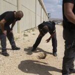 Agentes de policía inspeccionan el agujero por el que salieron los seis prisioneros palestinos
