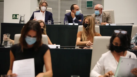 Pleno extraordinario para la constitución del grupo mixto, celebrado esta tarde en Madrid