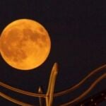 Luna de maíz
