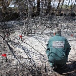 Investigado un operario por causar un incendio forestal en El Espinar (Segovia)