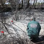  Investigado un operario por causar un incendio forestal en El Espinar (Segovia) al usar una radial con condiciones de riesgo extremo