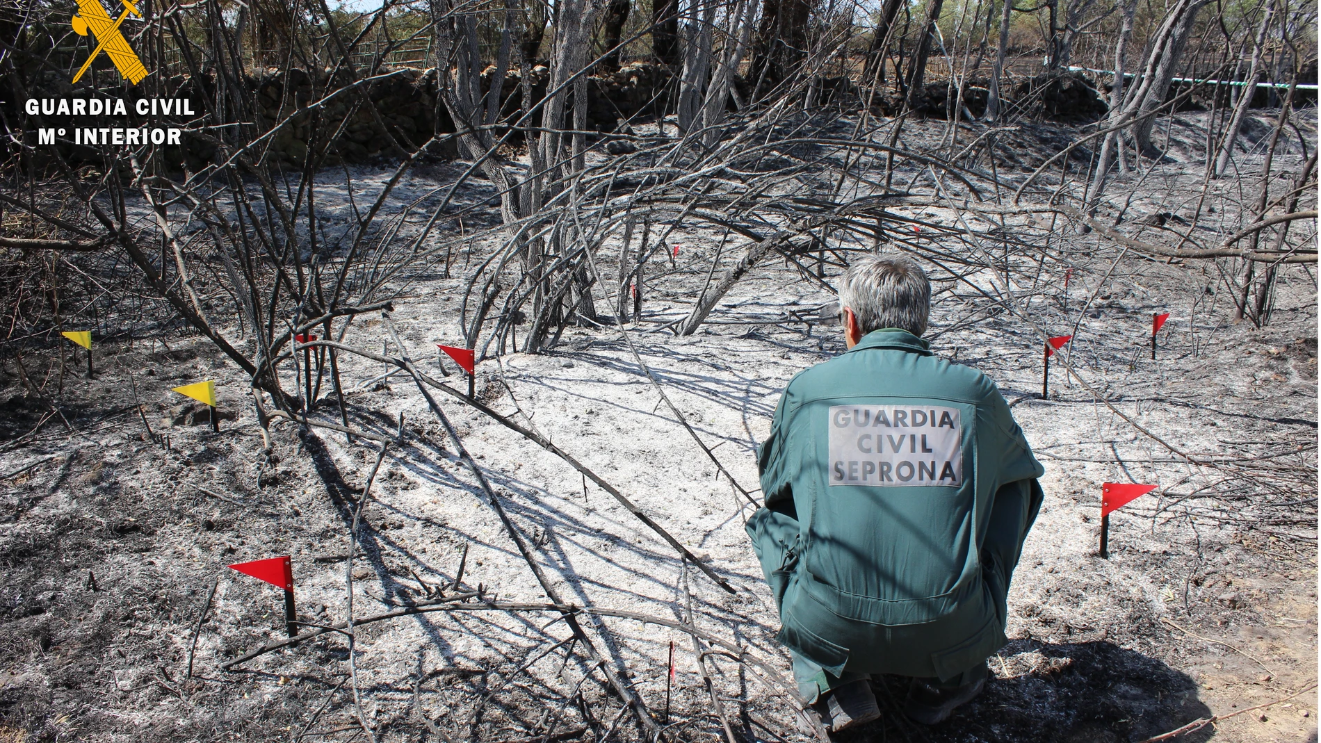 Investigado un operario por causar un incendio forestal en El Espinar (Segovia)
