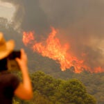 Más de mil personas han tenido que ser desalojadas por el fuego de Sierra Bermeja (Málaga)