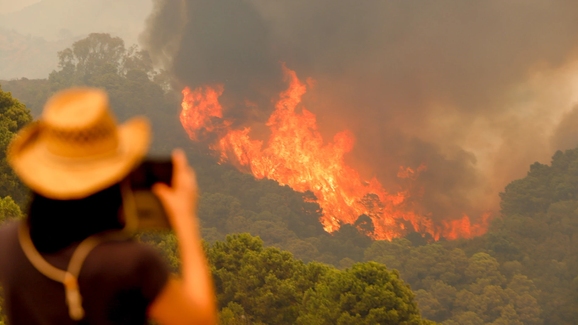 Más de mil personas han tenido que ser desalojadas por el fuego de Sierra Bermeja (Málaga)