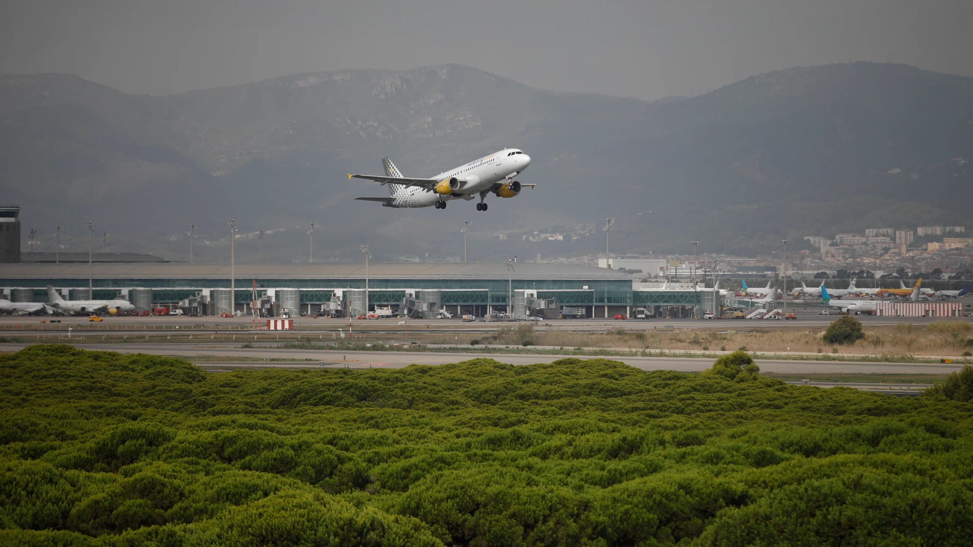 Un avión vuela por el espacio protegido de la Ricarda, en El Prat de Llobregat
