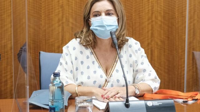 Carmen Ibanco, en la comisión de investigación de la Faffe del Parlamento andaluz. ALFREDO DE ANCA