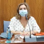 Carmen Ibanco, en la comisión de investigación de la Faffe del Parlamento andaluz. ALFREDO DE ANCA