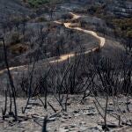 -FOTODELDIA- ESTEPONA (MÁLAGA), 10/09/2021.- Vista de una zona arrasada por uno de los focos del incendio de Sierra Bermeja, que afecta a la localidad de Estepona (Málaga) y que ha obligado a desalojar a más de 1000 vecinos por la proximidad de las llamas a sus viviendas. EFE/ Daniel Pérez