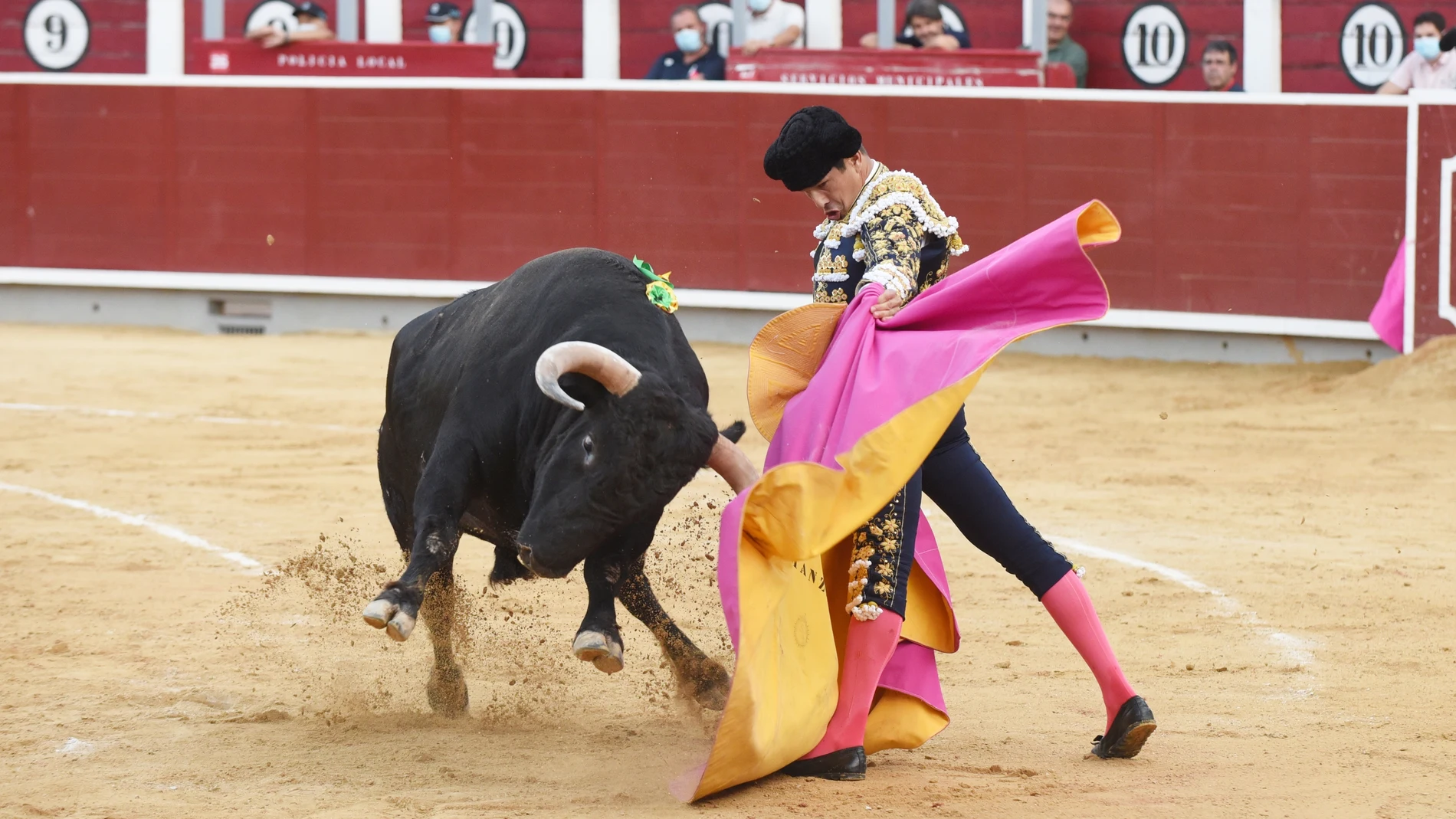 Manzanares, a la verónica