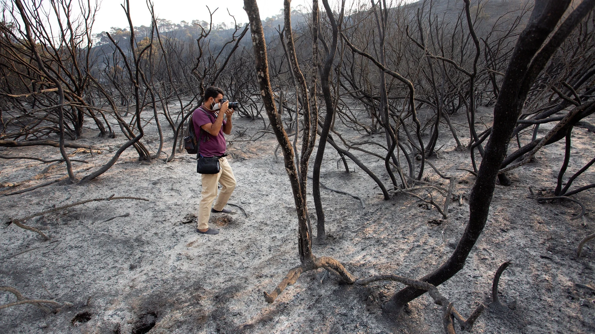 Un fotógrafo toma imágenes de una zona quemada por el incendio forestal en la Sierra Bermeja, en Málaga