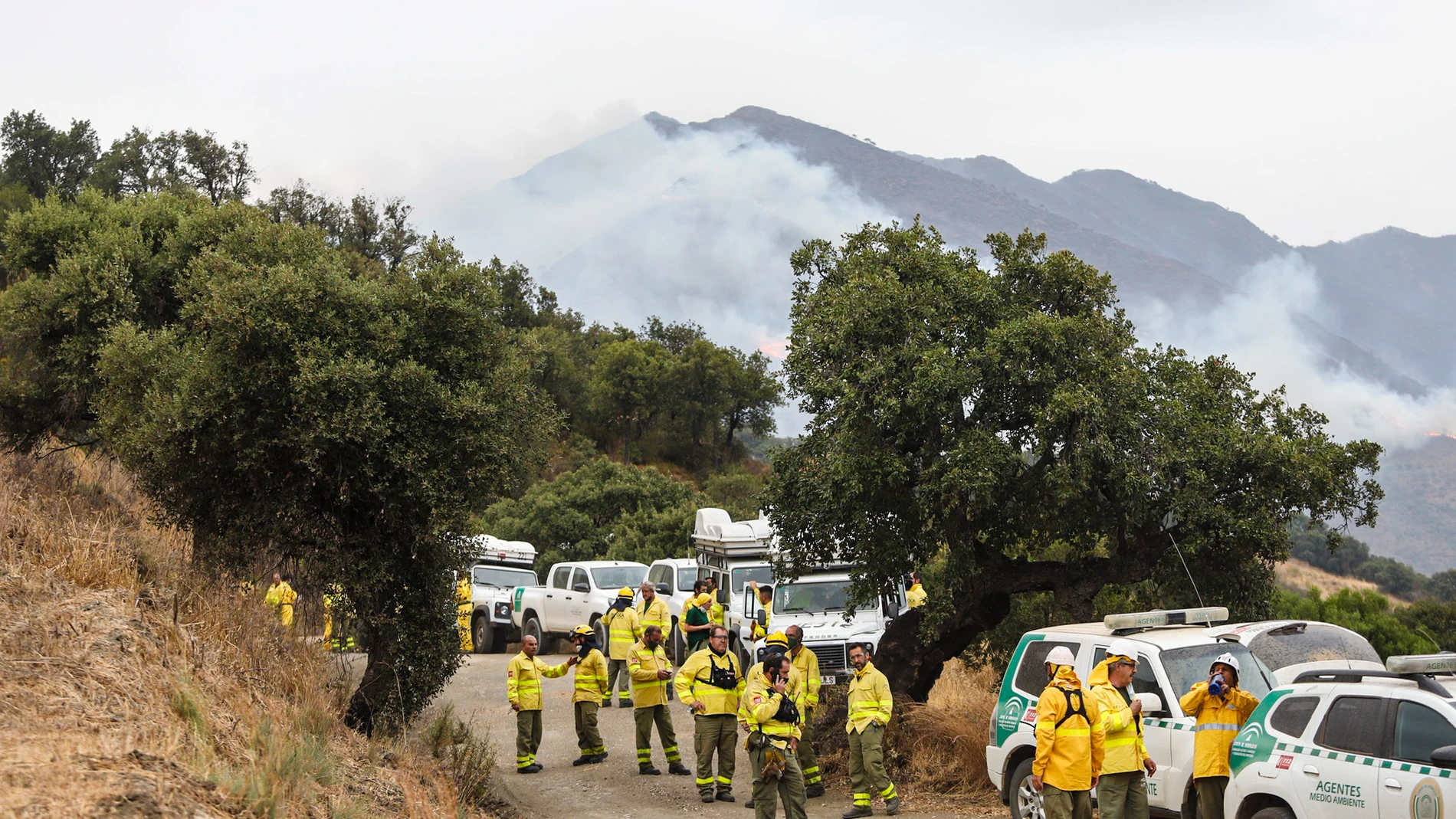 Miembros del Infoca en la Sierra Bermeja, visto desde el cerro de la Silla de los Huesos, a 13 de septiembre 2021 en Casares (Málaga) Andalucía