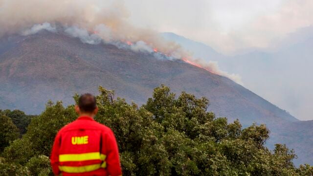 CASARES (MÁLAGA), 13/09/2021.- Varios medios intentan extinguir el incendio de Sierra Bermeja, este lunes. Con la esperanza de que la lluvia prevista en la zona de Sierra Bermeja, en la provincia de Málaga, ayude a su extinción, el incendio forestal siguió avanzando este lunes y ya ha calcinado más de 7.800 hectáreas, mientras la Fiscalía de Medio Ambiente apunta a que ha sido intencionado. EFE/Álvaro Cabrera