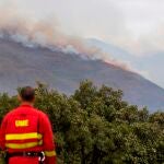 CASARES (MÁLAGA), 13/09/2021.- Varios medios intentan extinguir el incendio de Sierra Bermeja, este lunes. Con la esperanza de que la lluvia prevista en la zona de Sierra Bermeja, en la provincia de Málaga, ayude a su extinción, el incendio forestal siguió avanzando este lunes y ya ha calcinado más de 7.800 hectáreas, mientras la Fiscalía de Medio Ambiente apunta a que ha sido intencionado. EFE/Álvaro Cabrera