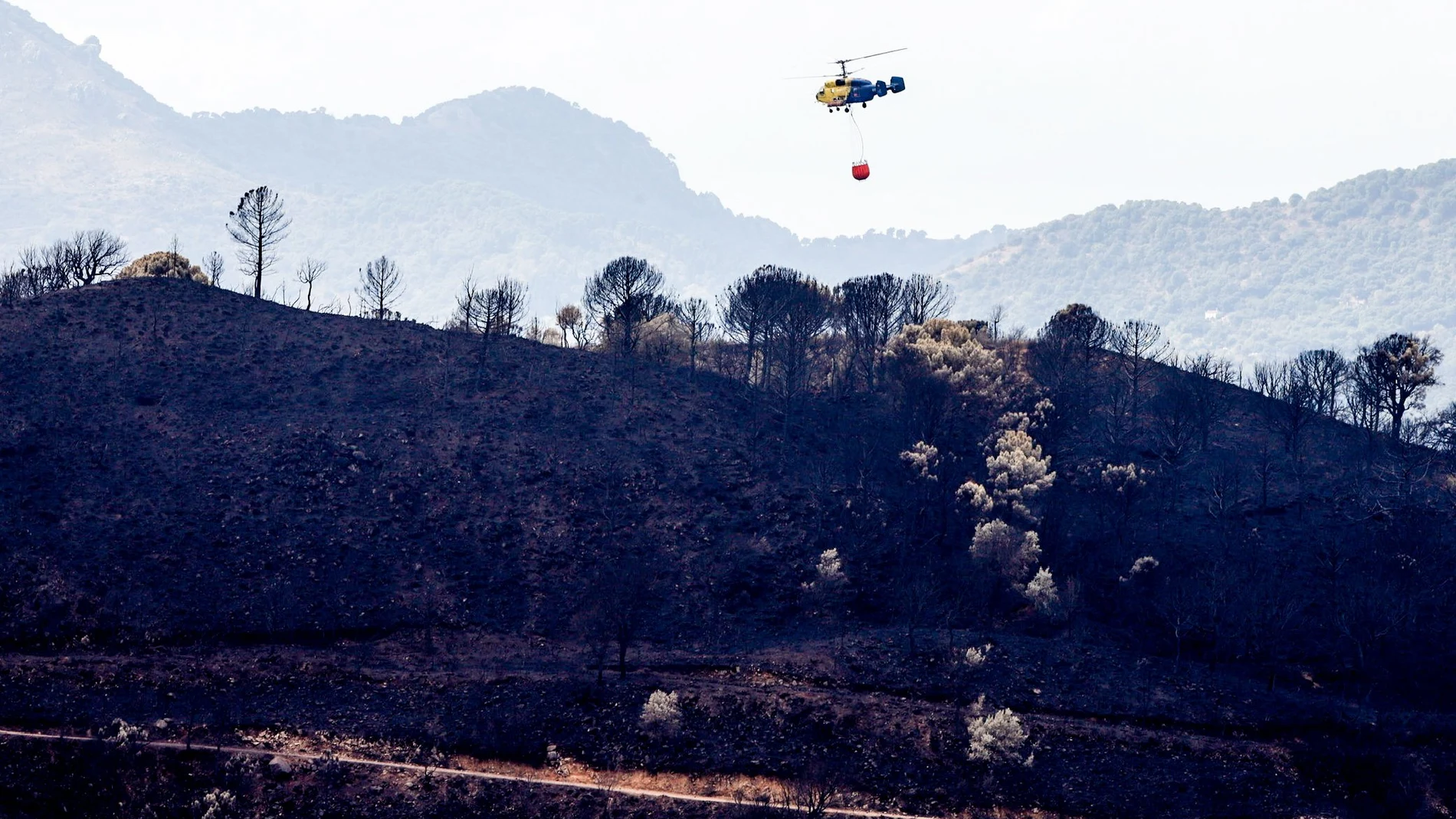 Un helicóptero trabaja en las zonas quemadas por el incendio de Sierra Bermeja (Málaga)