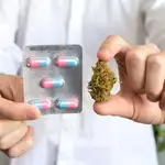 cannabis medicamento