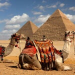 El Cairo es una parada obligada por la Necrópolis de Menfis, capital del imperio antiguo de Egipto, con las pirámides de Guiza y la majestuosa esfinge