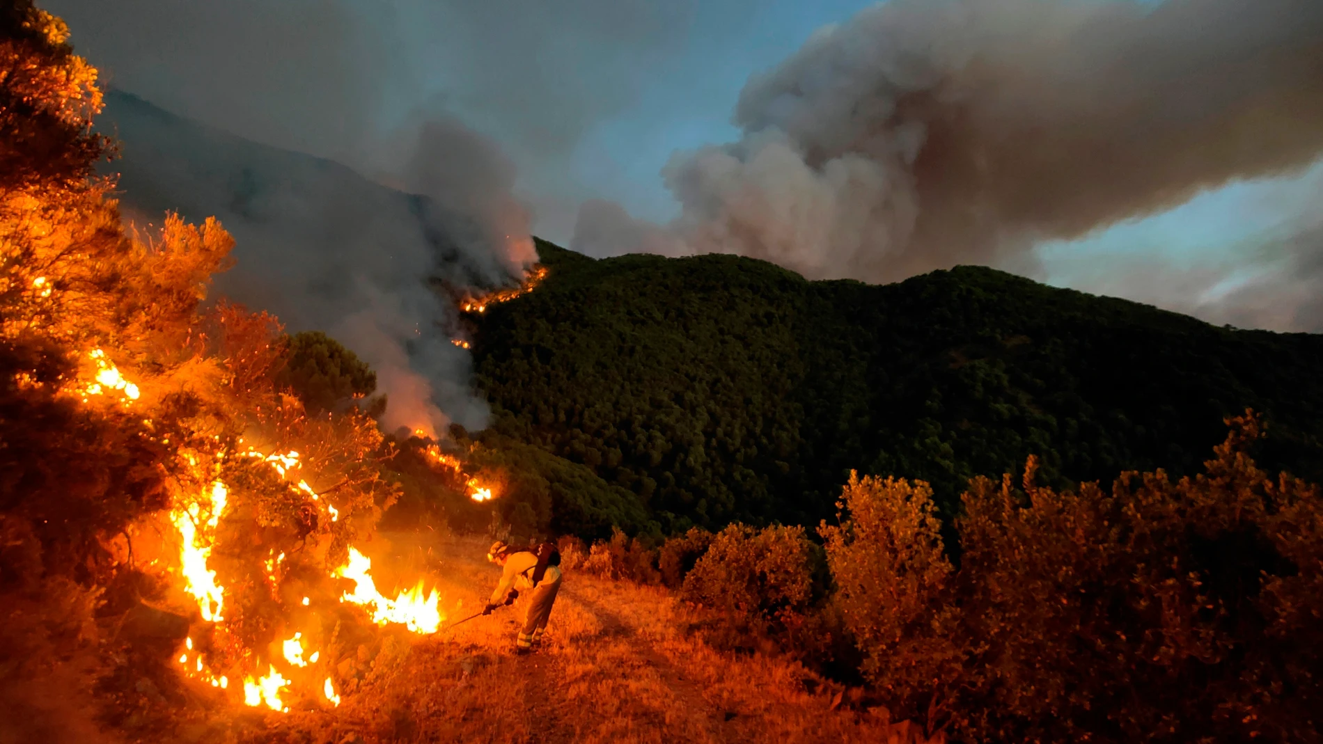 Las llamas calcinaron parte del parque natural de Sierra Bermeja (Málaga) y un bombero murió durante las labores de extinción
