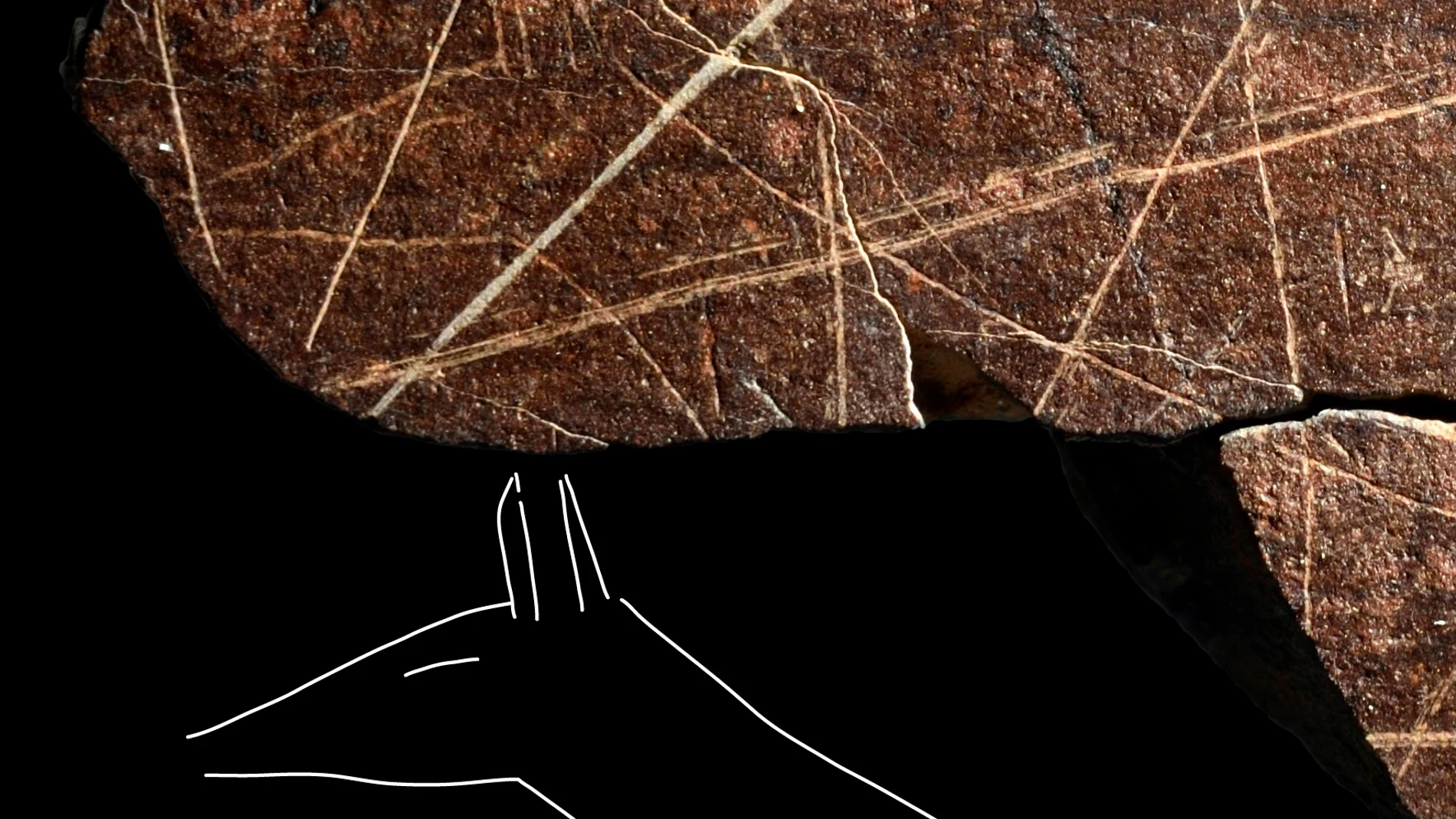 Una cierva dibujada en roca de pizarra con trazos únicos cerrados y mediante piedras muy cortantes