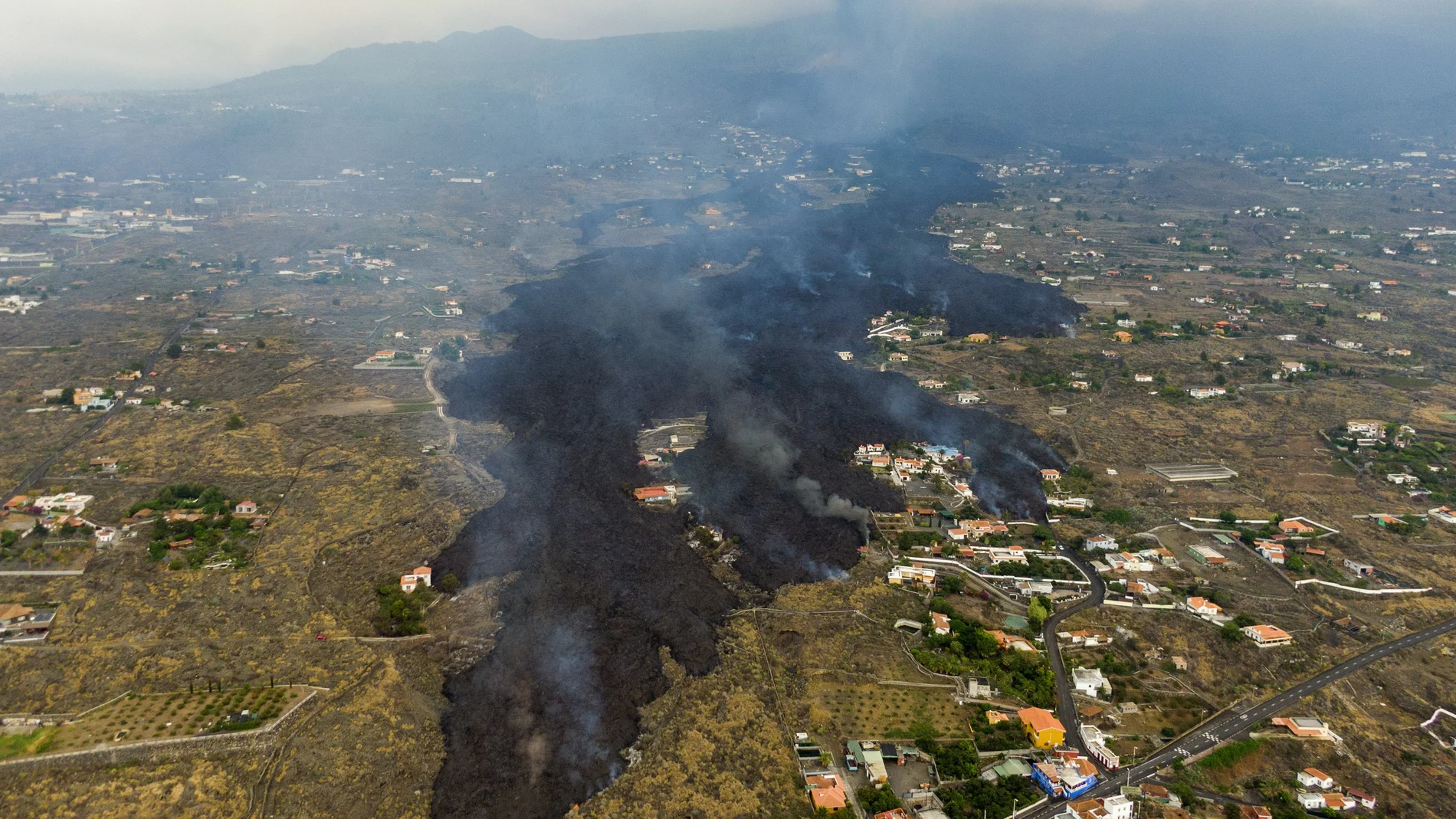 Imagen de la lengua de lava de La Palma, que arrasa con todo a su paso y ha obligado al desalojo de unas 6.000 personas