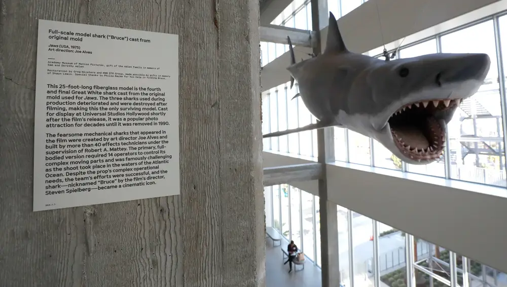 El único modelo que se conserva a escala real del tiburón que Spielber usó para su icónica cinta