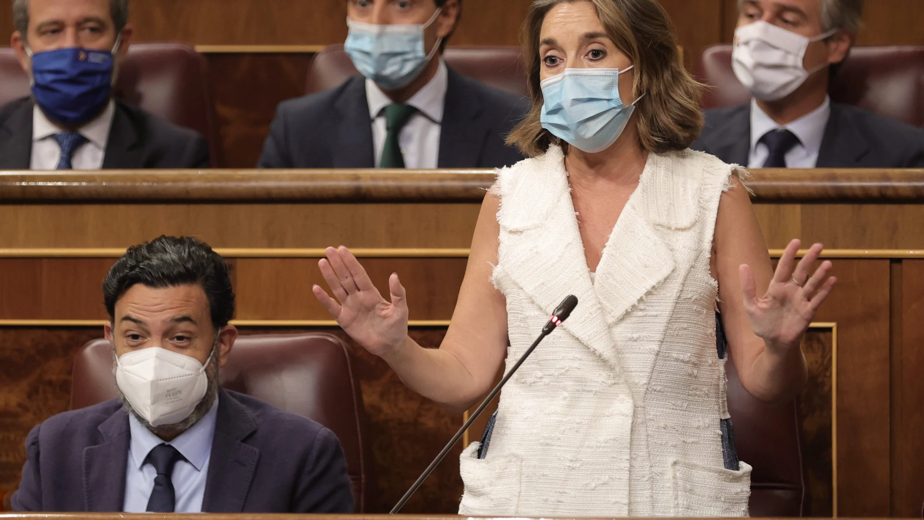 La portavoz del PP en el Congreso, Cuca Gamarra, interviene en una sesión de control al Gobierno en el Congreso de los Diputados