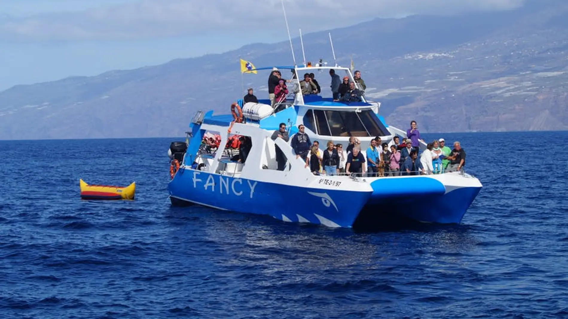 La empresa de avistamiento de cetáceos "Fancy Tazacorte" teme por el futuro profesional de sus 15 empleados