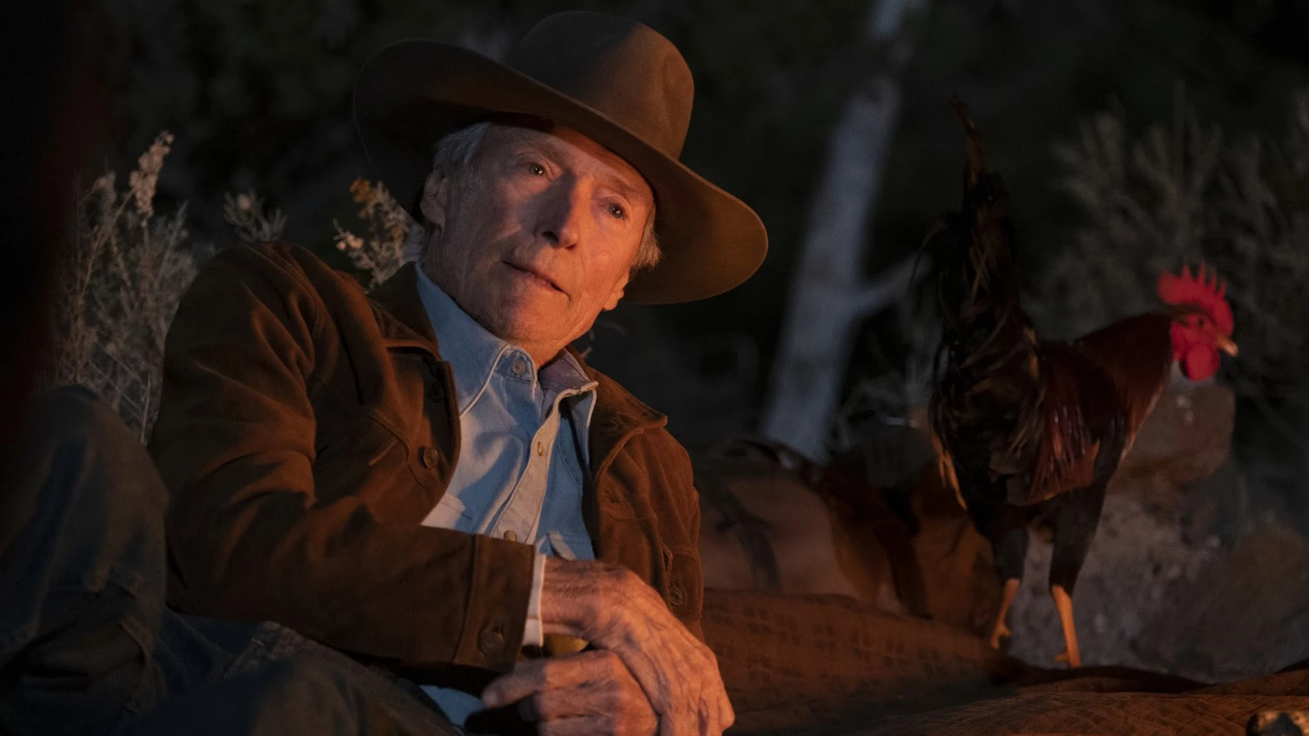 Clint Eastwood en "Cry Macho", que se estrena este viernes 24 de septiembre en cine