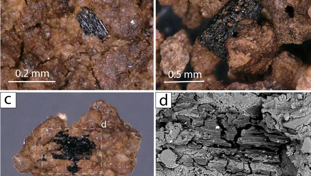 Partículas de carbón recogidas por los arqueólogos