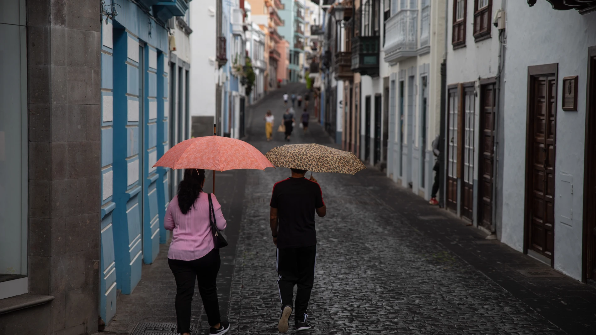 Una lluvia de cenizas cae sobre Santa Cruz de La Palma