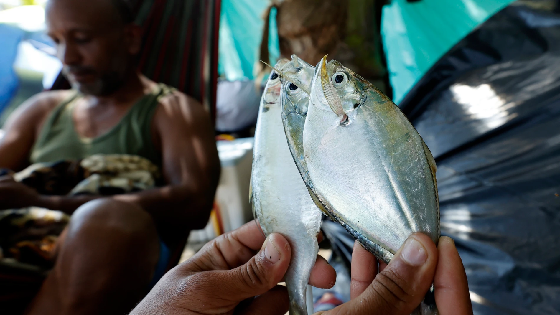ACOMPAÑA CRÓNICA: CRISIS MIGRATORIA***AME6342. NECOCLÍ (COLOMBIA), 27/09/2021.- Migrantes venezolanos pescan en el mar para alimentarse, el 26 de septiembre de 2021 en Necoclí (Colombia). Hudson y otros haitianos matan el tiempo en Necoclí jugando al dominó con compañeros de viaje venezolanos mientras esperan que llegue el día en que puedan embarcar rumbo al Darién, la peligrosa selva que les separa de Centroamérica y de su anhelo de conseguir una vida mejor. Muchos de ellos llegaron hace días, incluso semanas, desde Chile o Brasil, como parte del éxodo que ha emprendido la ruta al norte, rumbo al "sueño americano". EFE/ Mauricio Dueñas Castañeda