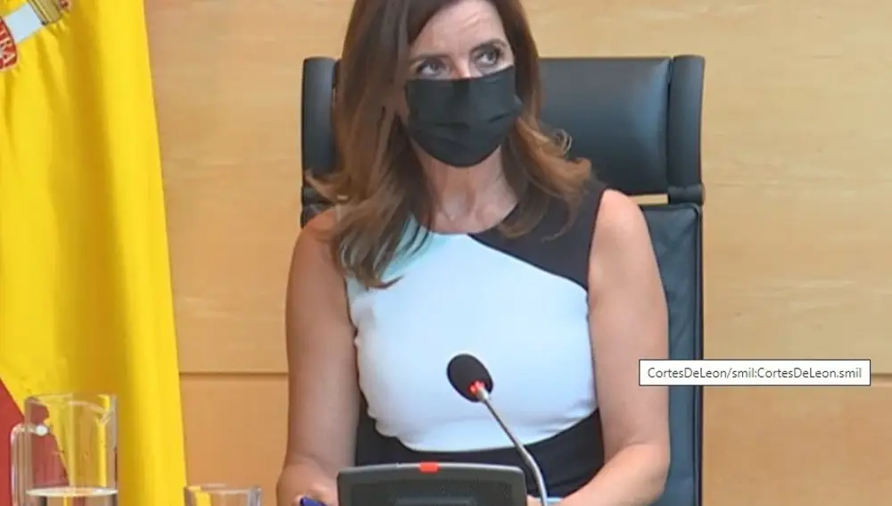 Ana Carlota Amigo, durante su comparecencia esta tarde en las Cortes.EUROPA PRESS27/09/2021