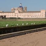 Entorno de San Miguel de los ReyesAYUNTAMIENTO DE VALÈNCIA28/09/2021