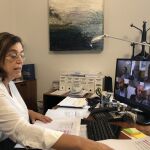 La presidenta de la Diputación de Palencia, Ángeles Armisén, durante la reunión telemática con Hugo Morán