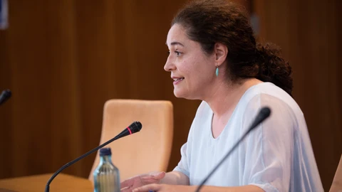 La portavoz parlamentaria de Unidas Podemos por Andalucía, Inmaculada Nieto. María José López / Europa Press