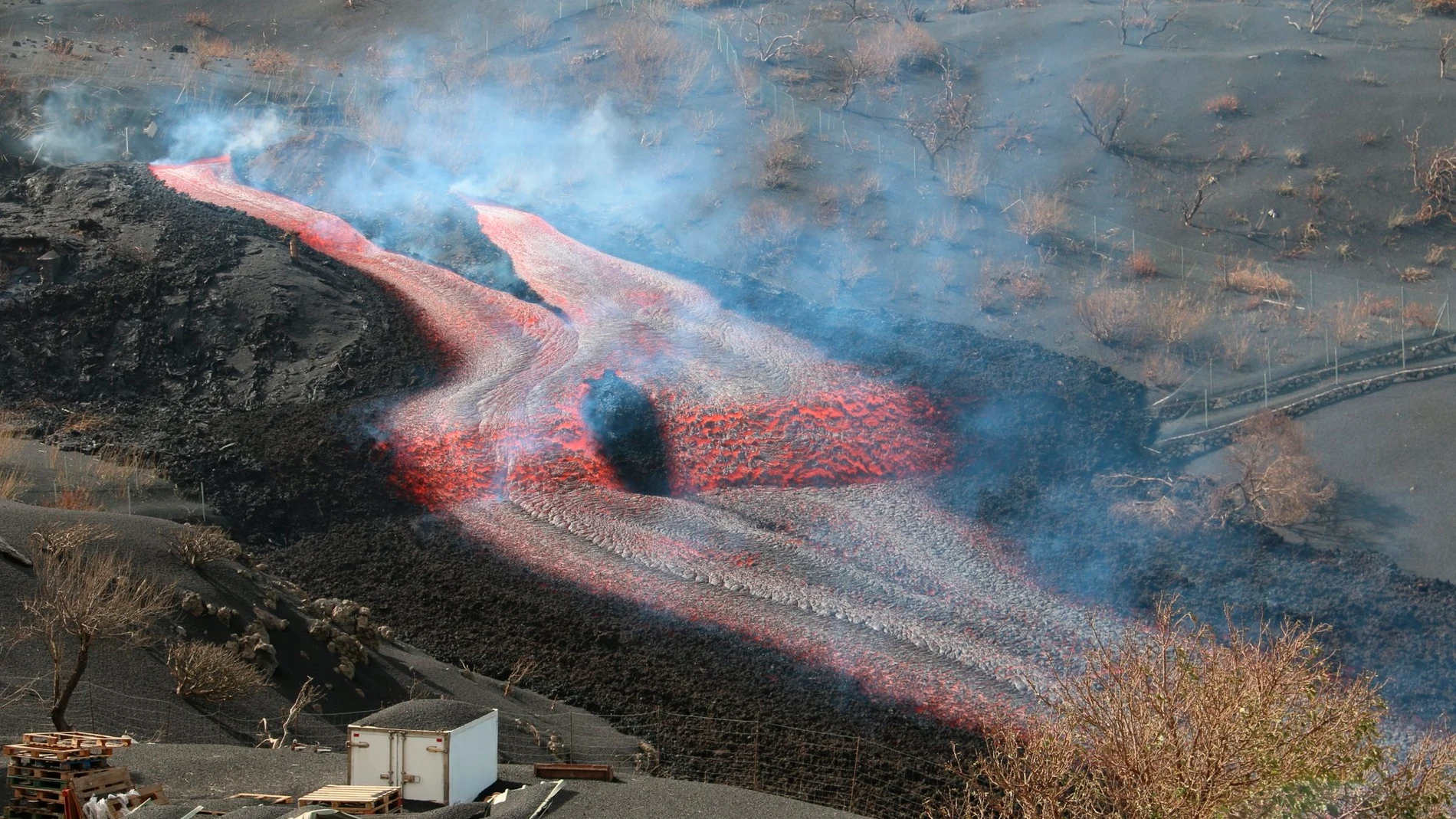 El volcán que el pasado 19 de septiembre entró en erupción en La Palma ha sumado dos centros emisores de lava a la dos que tenía y la nueva colada magmática busca la unión con la primigenia hacia el mar