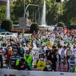 Los 70 colectivos de 'Otoño Caliente' pidieron la dimisión de Escrivá