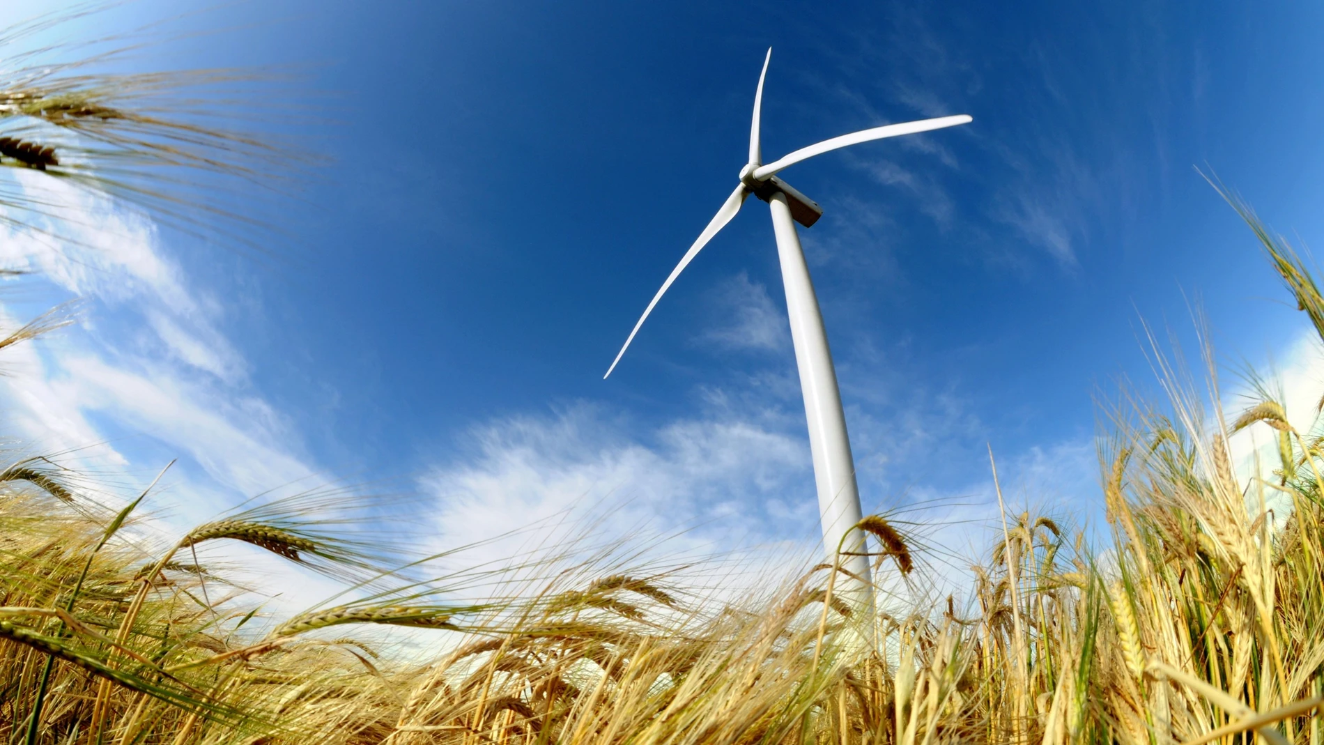 Los costes energéticos encarecen las campañas agrícolas