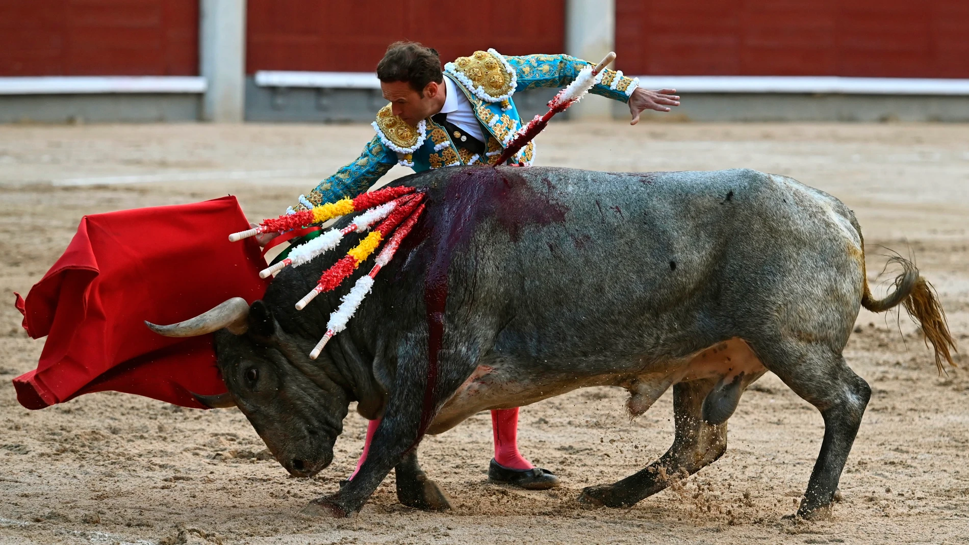 MADRID, 03/10/2021.- El diestro Antonio Ferrera se enfrenta al primero de seis, de la ganadería de Adolfo Martín, en el sexto festejo de la Feria de Otoño en Las Ventas. EFE/ Fernando Villar
